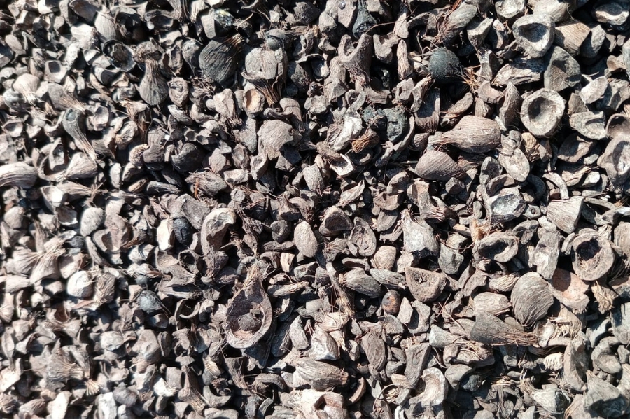 Activated Carbon Palm Kernel Shell